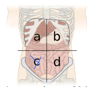 <p>What is this quadrant?</p>