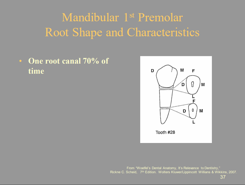 <p>C) 70%</p>