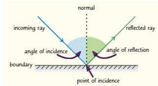 <ul><li><p>The normal is an imaginary line that's perpendicular (at right angles) to the surface at the point of incidence (the point where the wave hits the boundary).</p></li><li><p>The normal is usually shown as a dotted line.</p></li></ul><p></p>