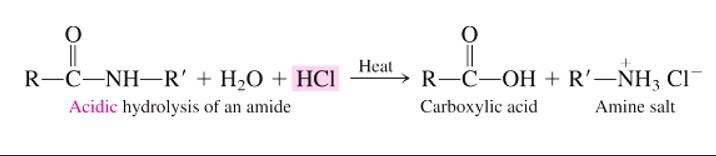 <p>Amide (O=C-N-R) + water + hydrochloric acid (HCl) W/ HEAT → carboxylic acid (R-C(-OH)=O) + amine salt (R-NH3+ Cl-)</p><p></p>