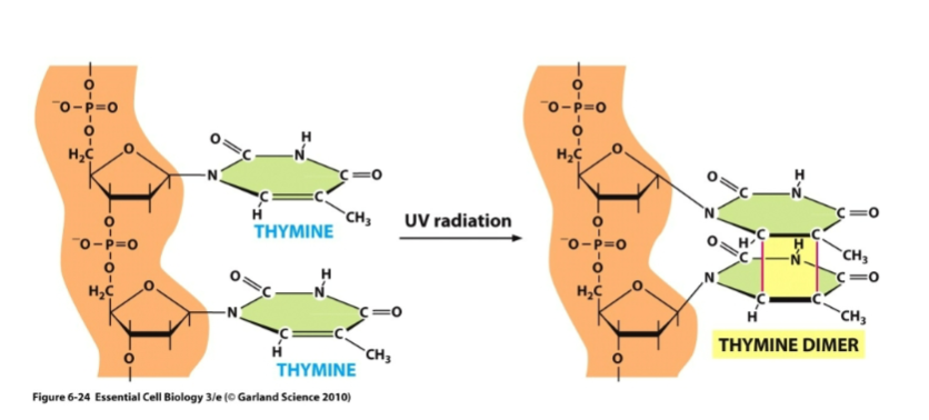 <p>What is this diagram</p>
