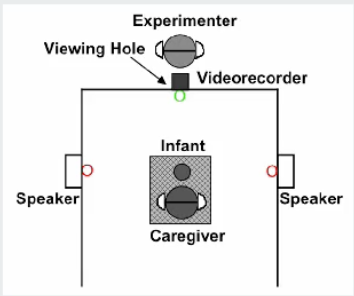 <p><strong>Head turn preference (4 - 24 months):</strong></p><ul><li><p>﻿﻿<strong>Purpose: </strong>indicates how interesting infants find speech sounds.</p></li><li><p>﻿﻿<strong>Method: </strong></p><ul><li><p>Interest is measured by how long infants attend to stimuli.</p></li><li><p>﻿﻿The principle is that infants pay more attention to familiar speech sounds.</p></li></ul></li></ul><p></p>