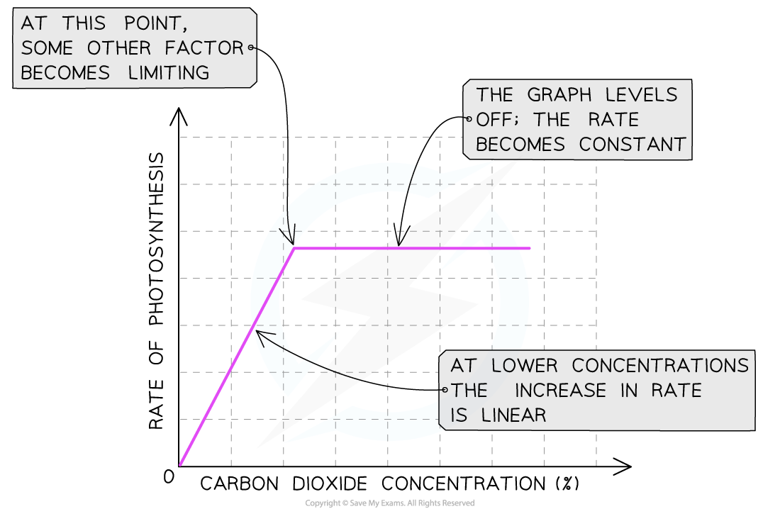 <ul><li><p>Carbon dioxide is one of the raw materials required for photosynthesis</p></li><li><p>This means the more carbon dioxide that is present, the faster the reaction can occur</p></li><li><p>This trend will stop if either temperature or light intensity are limiting factors</p></li></ul>