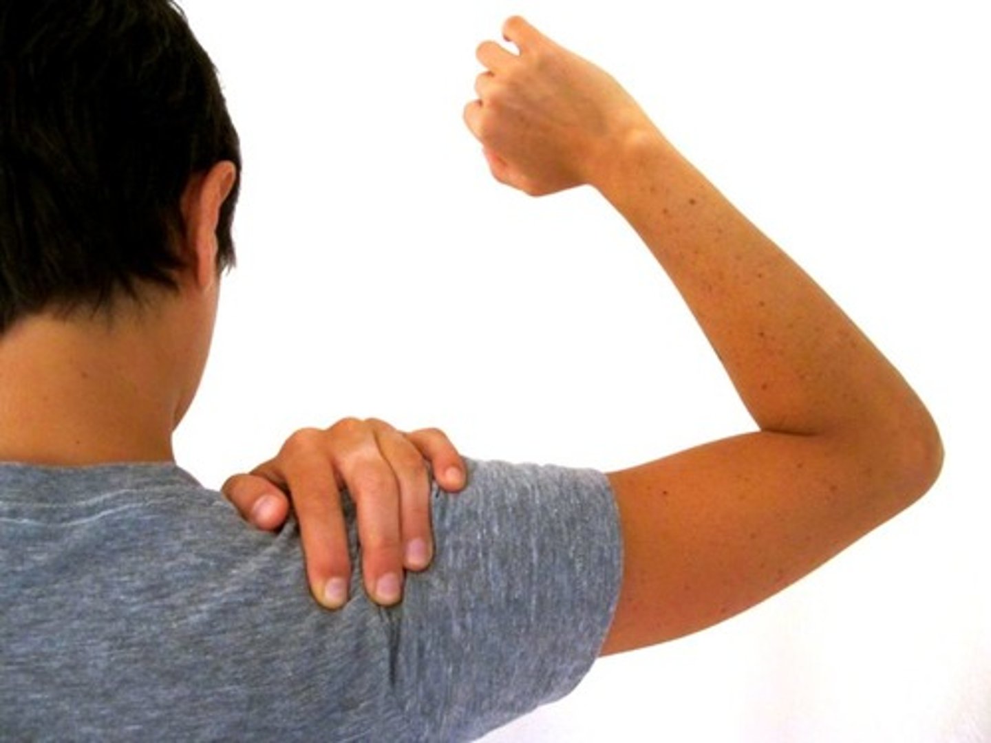 <p>shoulder</p>