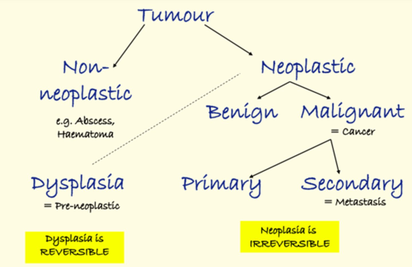 <p>Any malignant neoplasm</p>