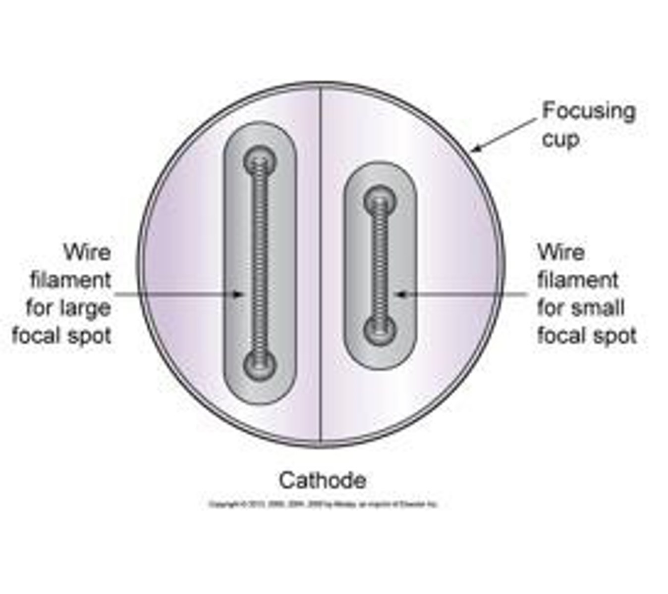 <p>2 small coiled wires composed of<br>Thoriated tungsten</p>