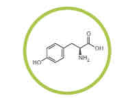 <p>What amino acid is this?</p>
