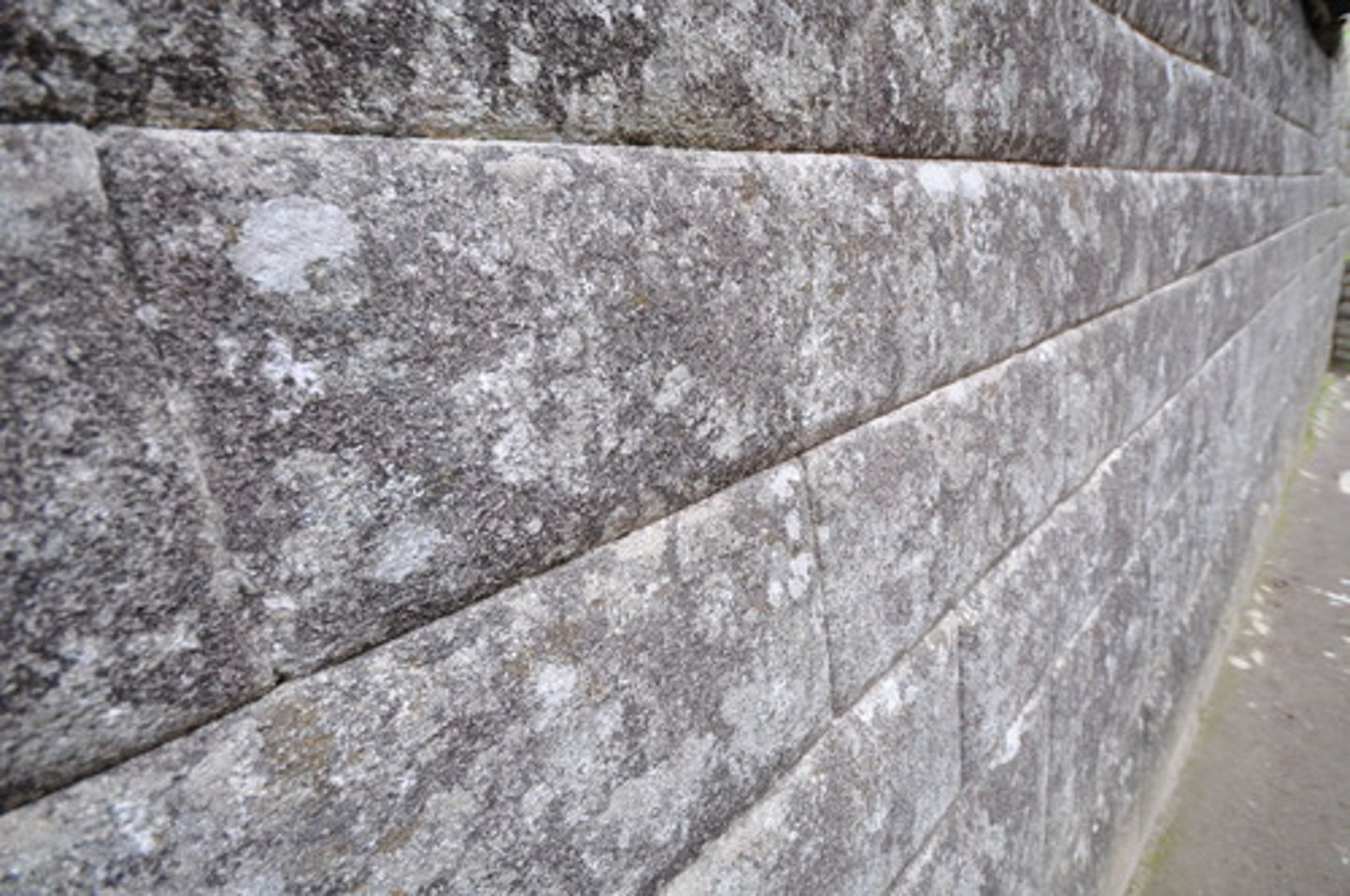 <p>carefully cut and grooved stones that support a building without the use of concrete or other kinds of masonry</p>