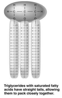 The figure above shows a triglyceride that contains unsaturated fatty acids.