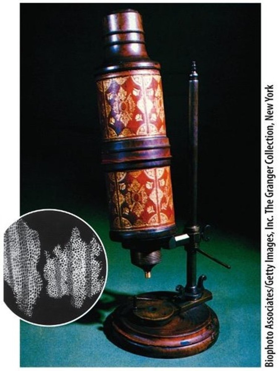 <p>The microscope</p>