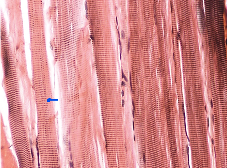 <p>What is this?</p>