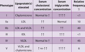 <p>Fredrickson Classification</p><p>Six phenotypes</p>
