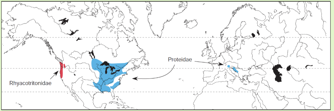 <p><span>Pacific Northwest from California to Washington</span></p>