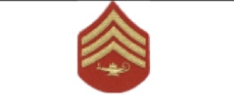 <p>3 Chevrons &amp; Lamp of Learning </p>