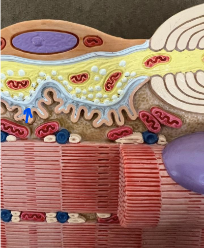 <p>What is this?</p>