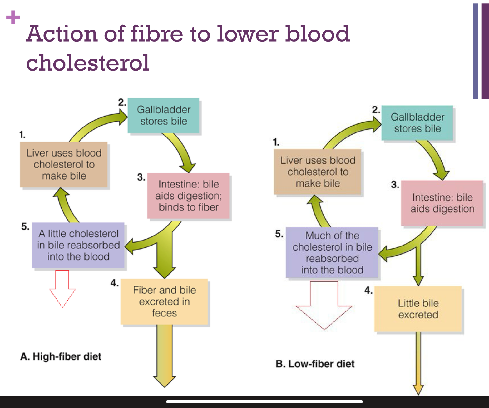 knowt flashcard image