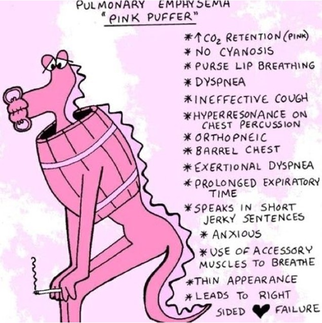 <p>Emphysema</p>