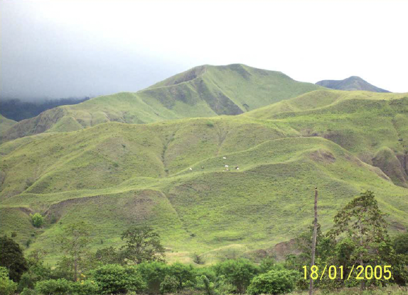 term image