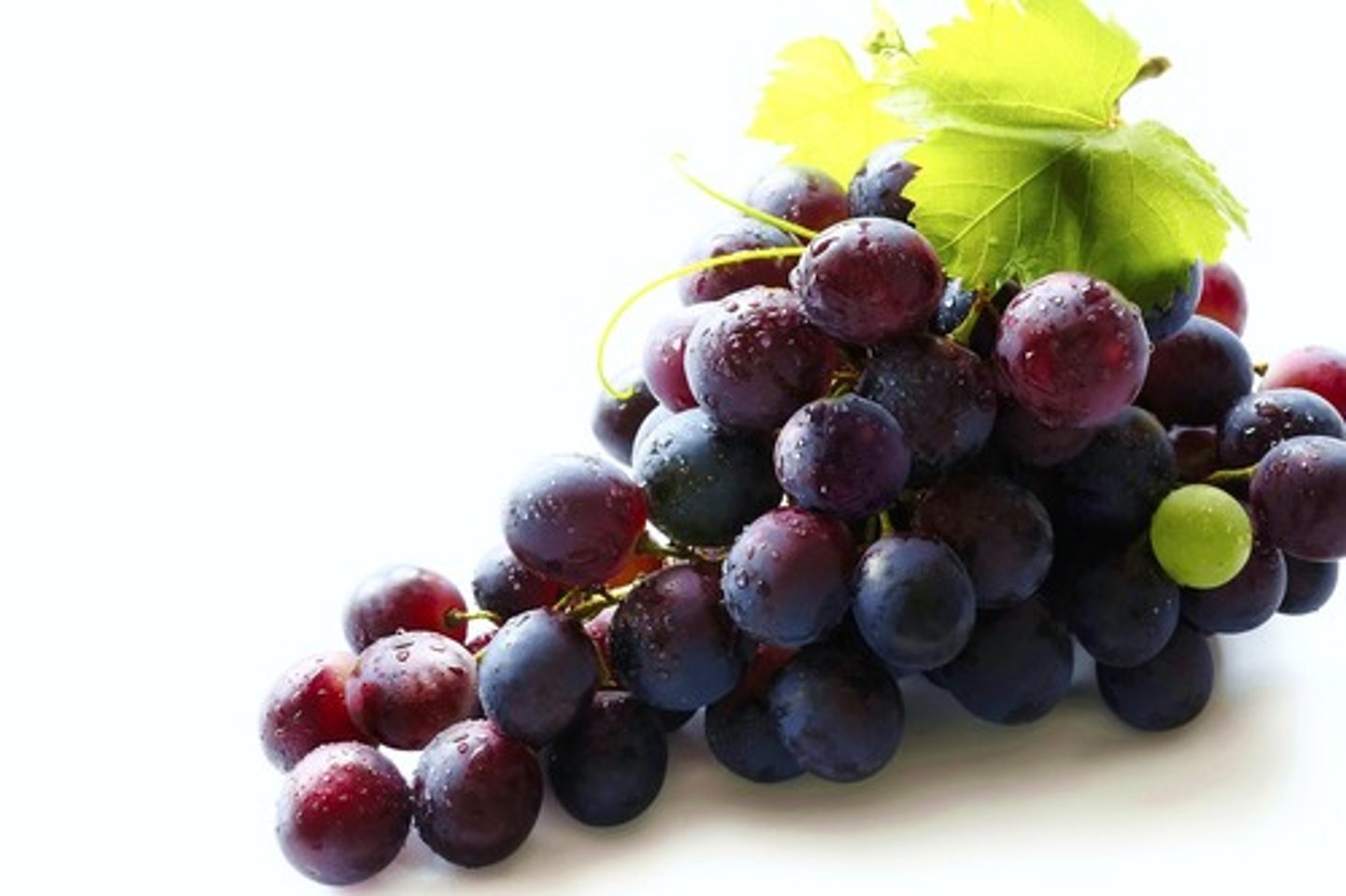 <p>bunch of grapes</p>