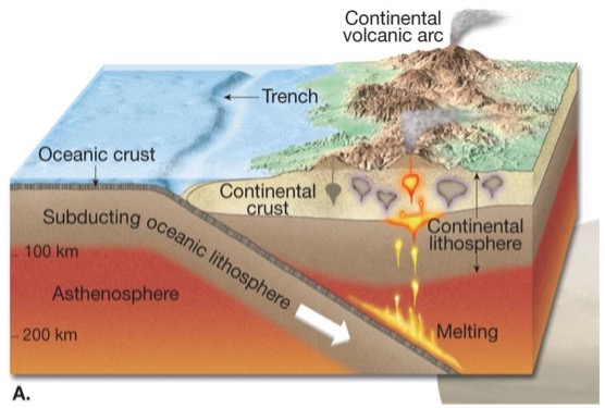 <p><span>-&nbsp;&nbsp;&nbsp; </span>An oceanic plate of denser basaltic material subducted under less dense granite-type continental shelf.</p><p><span>-&nbsp;&nbsp;&nbsp; </span>Marked by oceanic trenches, deep-seated earthquakes, and volcanic mountains.</p>