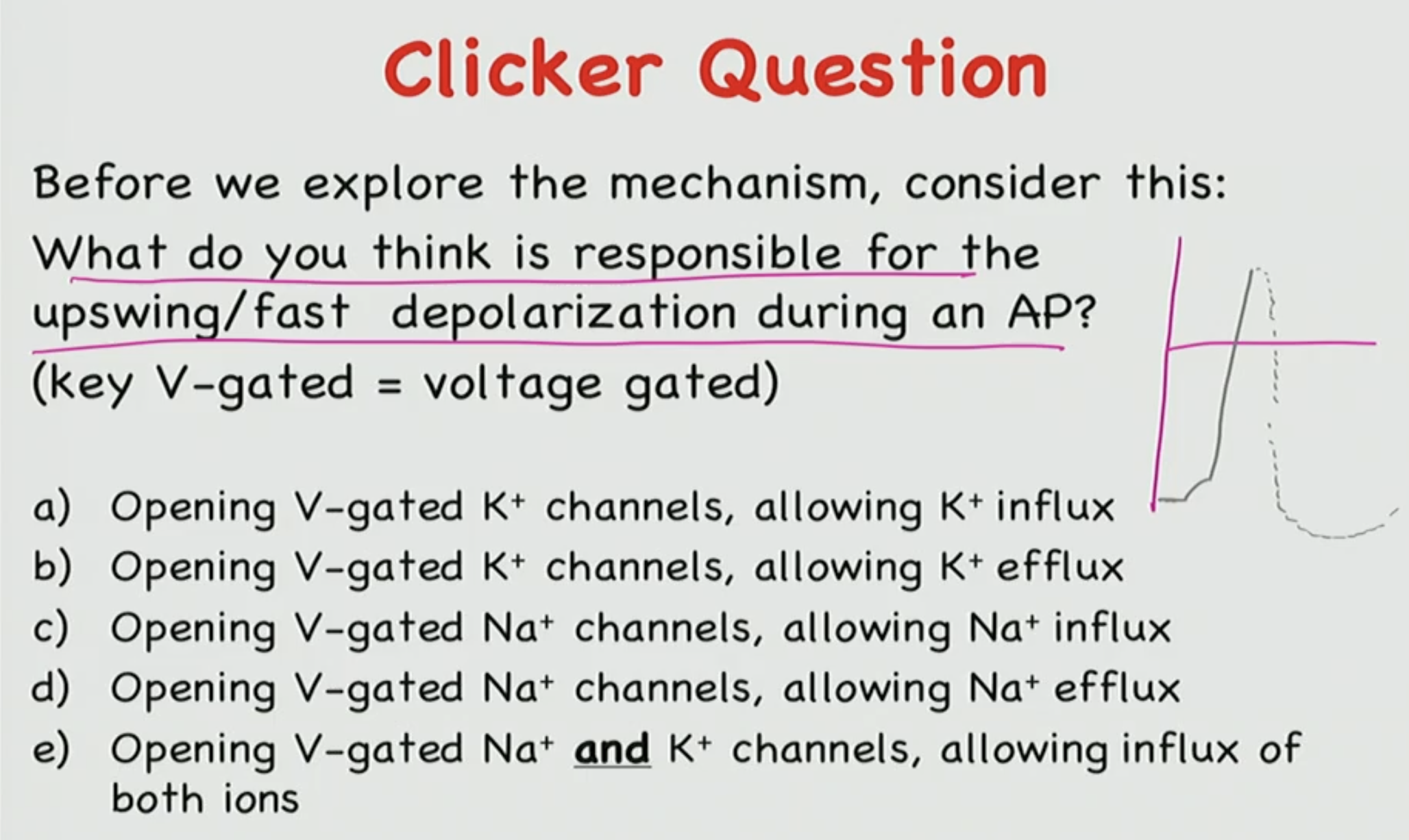 <p>Which is the correct answer? Explain.</p>
