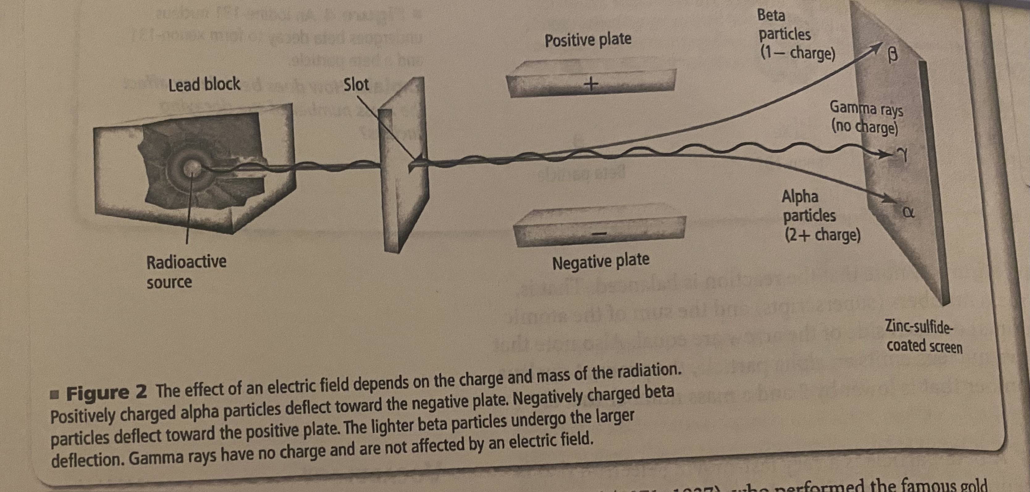 <p>performed famous gold foil experiment that helped define modern atomic structure</p>