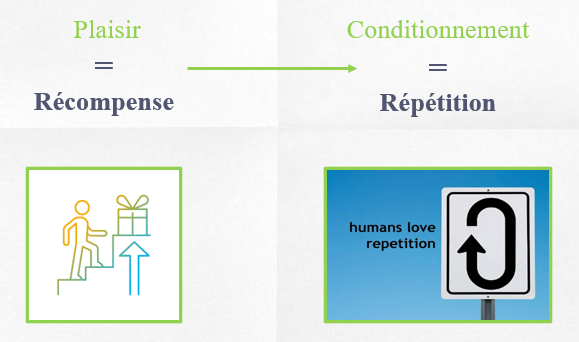 <ul><li><p>Découverte : étude sur les rats : des rats étaient placés dans une « cage à conditionnement ». Des électrodes étaient implantées dans l’aire septaleé Lorsqu’ils appuyaient sur le levier, ils recevaient unestimulation électrique.</p></li><li><p>Les fonctions particulières de ce circuit (circuit des récompenses):</p><ul><li><p>Plaisir et motivation!</p><ul><li><p>Capter et retenir notre attention</p></li><li><p>Susciter le plaisir</p></li><li><p>Pousser la personne à agir pour obtenir la récompense</p></li><li><p>Comment? Voir image</p><ul><li><p>Renforcement, apprestissage et anticipation des sitmuli plaisants</p></li><li><p>À force de répéter, on va dans le conditionnement (ex : fait de faire l’amour, substances)</p></li></ul></li></ul></li><li><p>Est-ce en lien avec l’évolution?</p><ul><li><p>En lien avec l’évolution, car il fallait nourrire, se reproduire pour survivre </p></li><li><p>Depuis peu, nous savons que la dépression ne serait pas liée à une baisse de sérotonine dans le cerveau </p></li></ul></li><li><p>NT clé de ce circuit = Dopamine </p><ul><li><p>La dopamine (DA) = « Le neurotransmetteur du bonheur » </p></li><li><p>C’est à dire qu’il est impliqué dans : </p><ul><li><p>Les sentiments positifs (plaisir)</p></li><li><p>Les comportements de recherche motivées </p></li></ul></li></ul></li><li><p>Structures-clé : </p><ul><li><p>Quelques structures corticales et sous-corticales, dont: </p><ul><li><p>Cortex préfrontal (comportement de recherche du plaisir)</p></li><li><p>Hippocampe (mémoire des souvenirs agréables et les détails de l’environnement associés) (ex : quand je faisais x comp et ça marchait, je vais le refaire)</p></li></ul></li></ul></li></ul></li></ul><p></p>