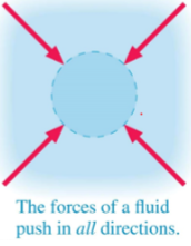 <p>(1/12), Lecture 3 (Week 1), CH13<br>At Earth’s surface, the pressure due to the weight of the air above, often referred to as atmospheric pressure, is about 14.7 pounds per square inch (psi). In SI units, This is about 101,300 Newtons per square meter. Estimate the amount of force the atmosphere exerts on your forearm.</p>