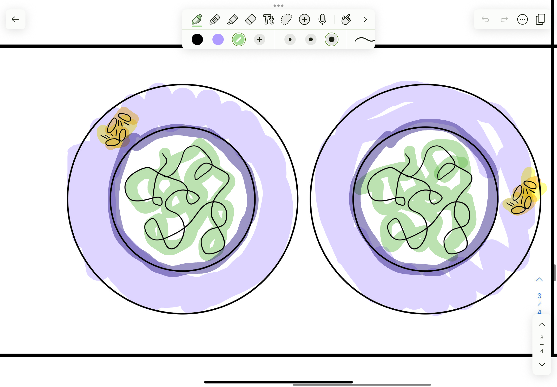 <p>What phase </p>