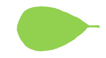 <p>Leaf shape?</p>
