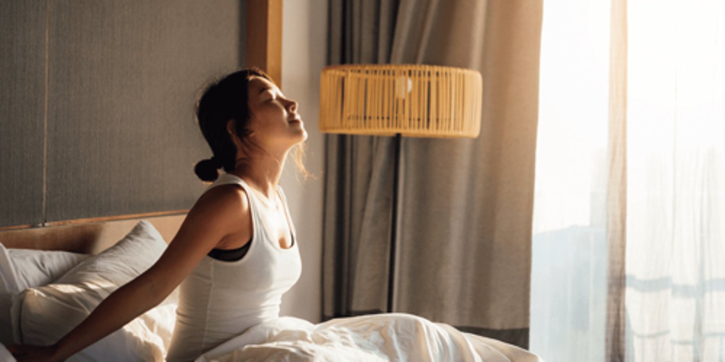 <p>l'état de veille (awakening, wakefulness)</p>