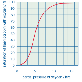 <p>bottom of the graph:</p><ul><li><p>at low partial pressure, there is a low saturation as its difficult for the first oxygen molecules to bind</p></li><li><p>low partial pressure - at respiring cells </p></li></ul><p>central region:</p><ul><li><p>after the first molecule binds and protein undergoes conformational change, the saturation increases as its easier for the 2nd and 3rd molecules to bind (positive cooperativity)</p></li></ul><p>top of the graph:</p><ul><li><p>the likelihood of the 4th oxygen finding a binding site is low, so graph begins to plateau</p></li><li><p>high partial pressure - in the lungs</p><p></p></li></ul><p></p>