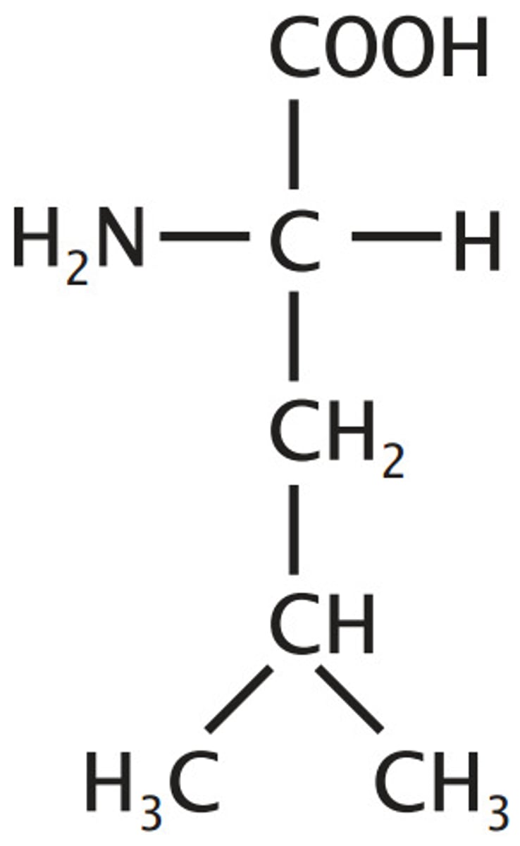 <p>Hydrophobic/Nonpolar, Alkyl/Aliphatic</p>