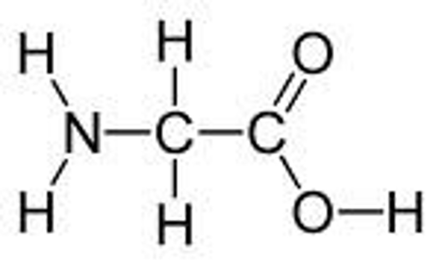 <p>amino acid pictured</p>