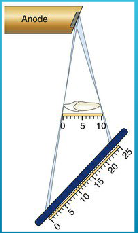 <p>what happens when central ray is perpendicular to the object but not to the image receptor?</p>