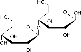 <p>Cellobiose</p>