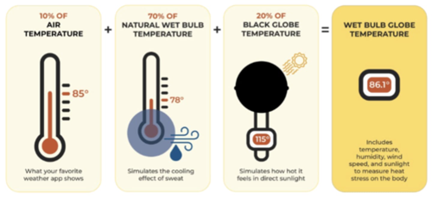 <p>Dry-bulb temperature is standard measure of air temperature, while wet-bulb temperature reflects cooling effect of evaporation and indicates how humid the air is (scientists measuring human heat tolerance use wet-bulb temp, w many considering wet-bulb temp of 35 degrees C to be the physiological limit)</p><p>-WBGT is a composite temperature index that accounts for multiple environmental factors to estimate heat stress on the human body more accurately than just air temperature; comprised of dry bulb temperature (10%), natural wet bulb temperature (70%) and black globe temperature/how hot it feels in direct sunlight (20%)</p>