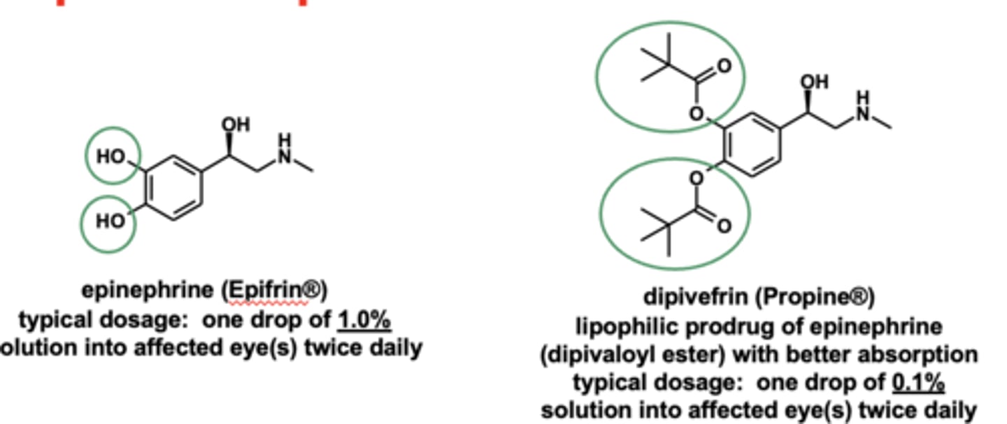 <p><strong>dipivefrin prodrug</strong></p>