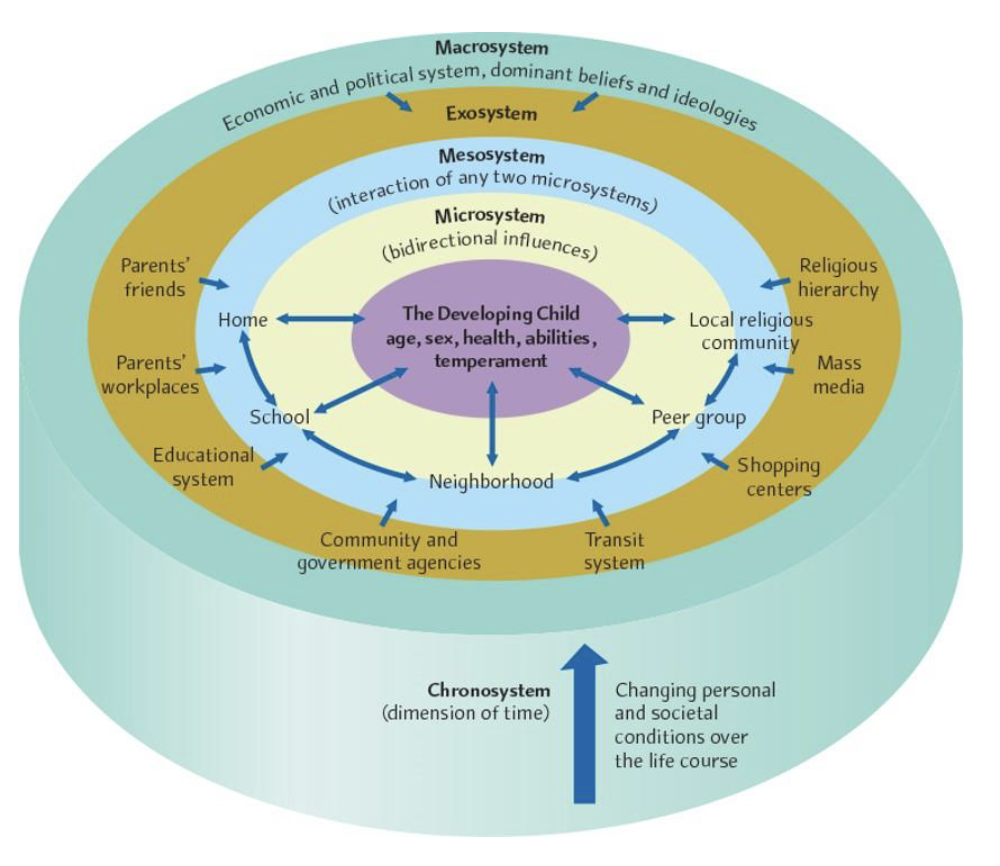 <p>Identifies five levels of environmental influence (microsystem, mesosystem, exosystem, macrosystem, chronosystem) ranging from narrow to broad that can stifle or promote growth.</p>