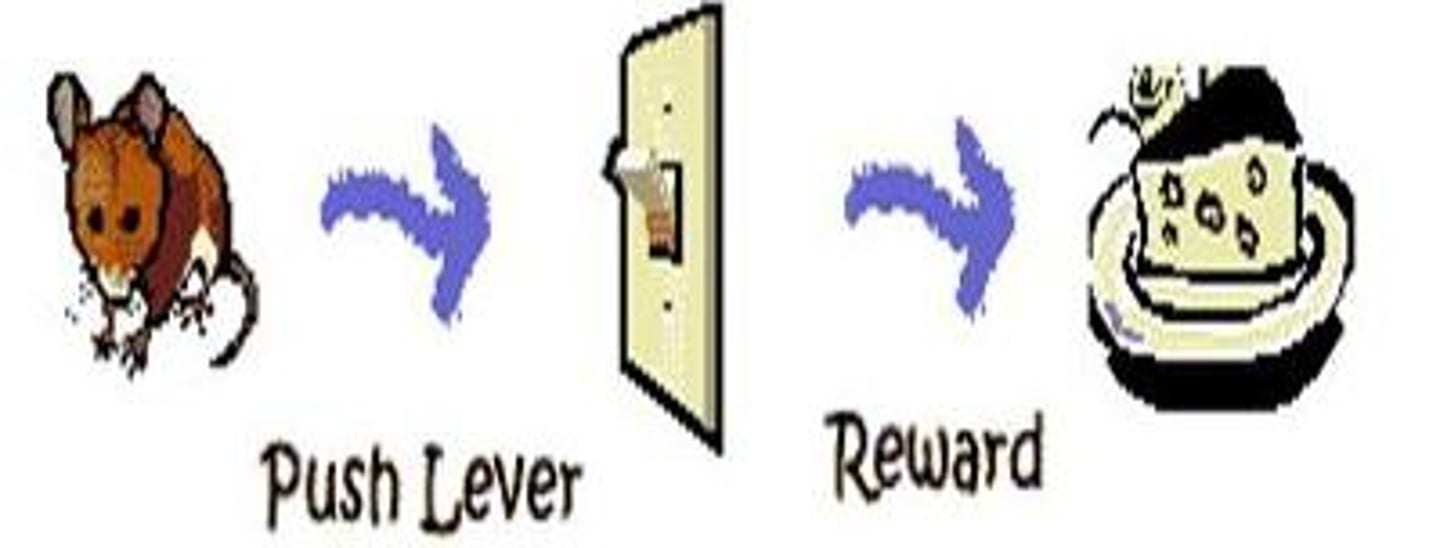 <p>Disordered behaviors are learned (were classically conditioned or are being reinforced)</p>