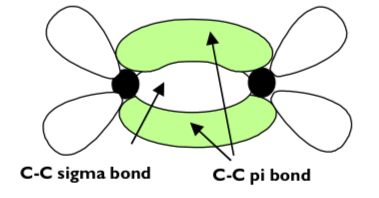 <ul><li><p>one sigma bond</p></li><li><p>one pi bond</p></li></ul><p></p>