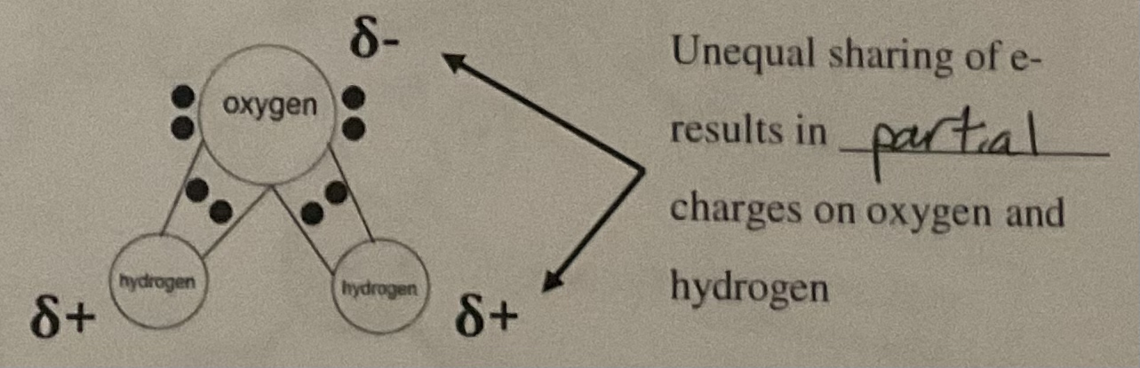 <p>electrons are not shared equally between two atoms (ex. H2O)</p>