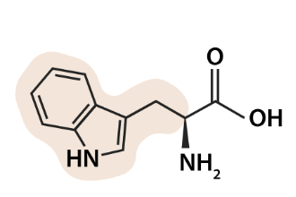 <p>what aa is this</p>