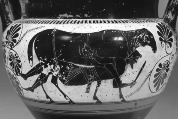 <p>Who clings to the belly of a sheep? (Figure 9.3)</p>