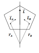 <ul><li><p>Particles on opposite sides of the axis have their perpendicular angular momentum components cancel each other out</p><p></p></li><li><p>This results in the total angular momentum being parallel to the axis of rotation.</p></li></ul><p></p>