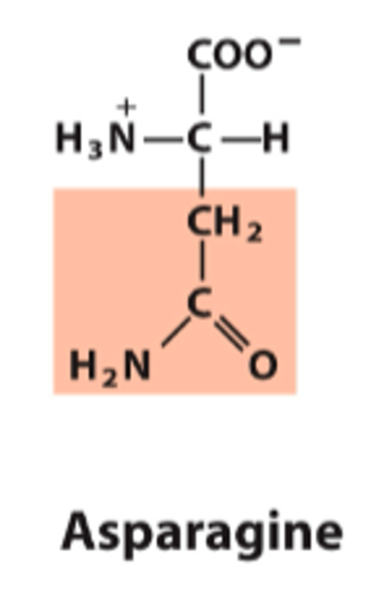 <p>What is the classification of this amino acid's R group?</p>