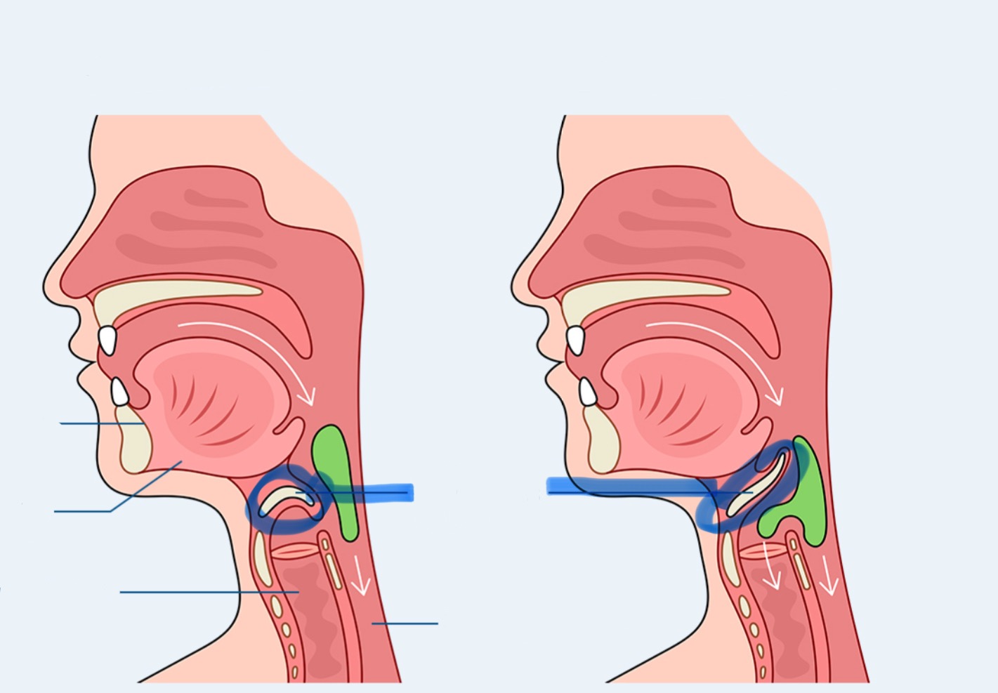 <p>Hoe noemt het aangeduide deel</p>