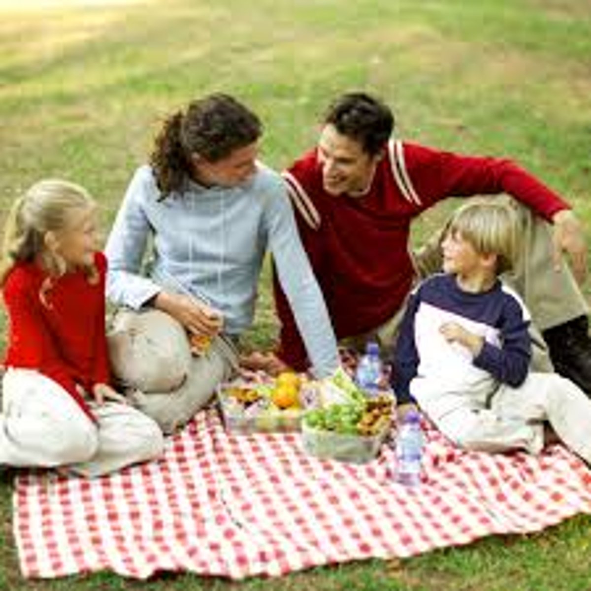 <p>to have a picnic</p>