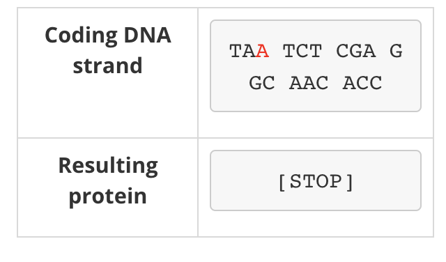 <p><span><span>changes in a single base that change a codon for an amino acid into a stop codon. As a result, translation stops early and the primary sequence of the protein product is only a fraction of its normal length.</span></span></p>