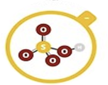 <p>Hydrogen sulfate</p>